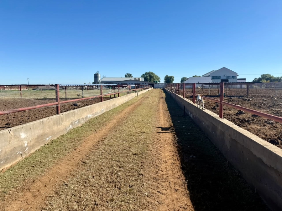 13 Bedroom Property for Sale in Bainsvlei Free State
